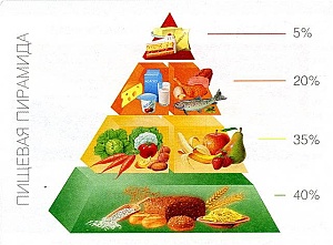 Буклет о здоровом питании