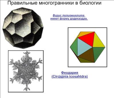 Урок геометрии на тему Правильные многогранники