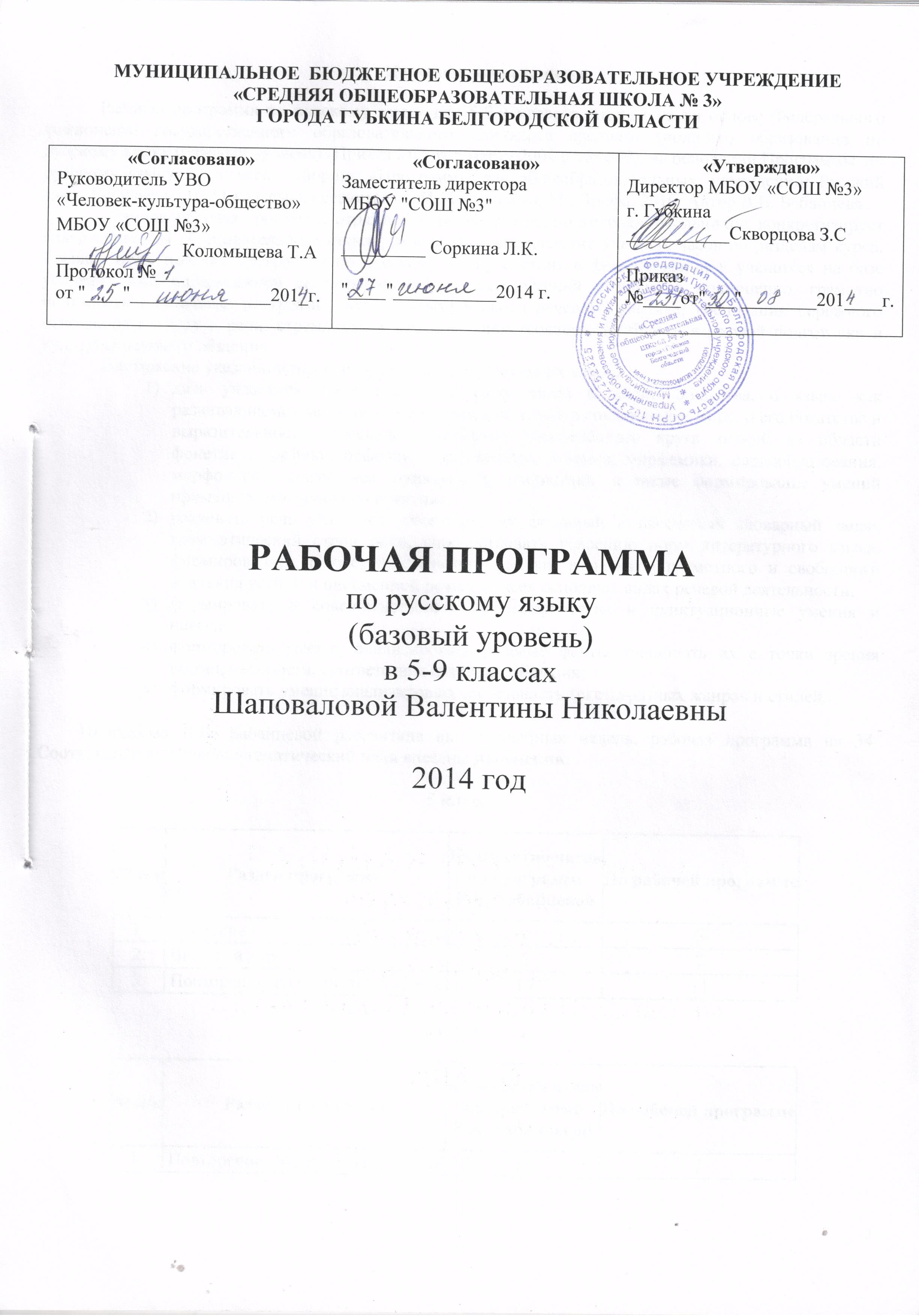 Рабочая программа по русскому языку (базовый). Автор В.В. Бабайцева