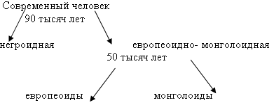 Конспект урока по биологии на тему