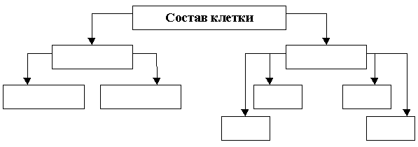 Строение клетки