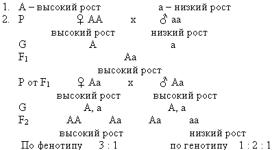 Конспект урокаМоногибридное скрещивание. I и II законы Менделя.