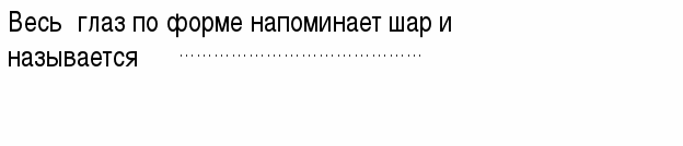 Проверочная работа по окружающему миру 3 класс