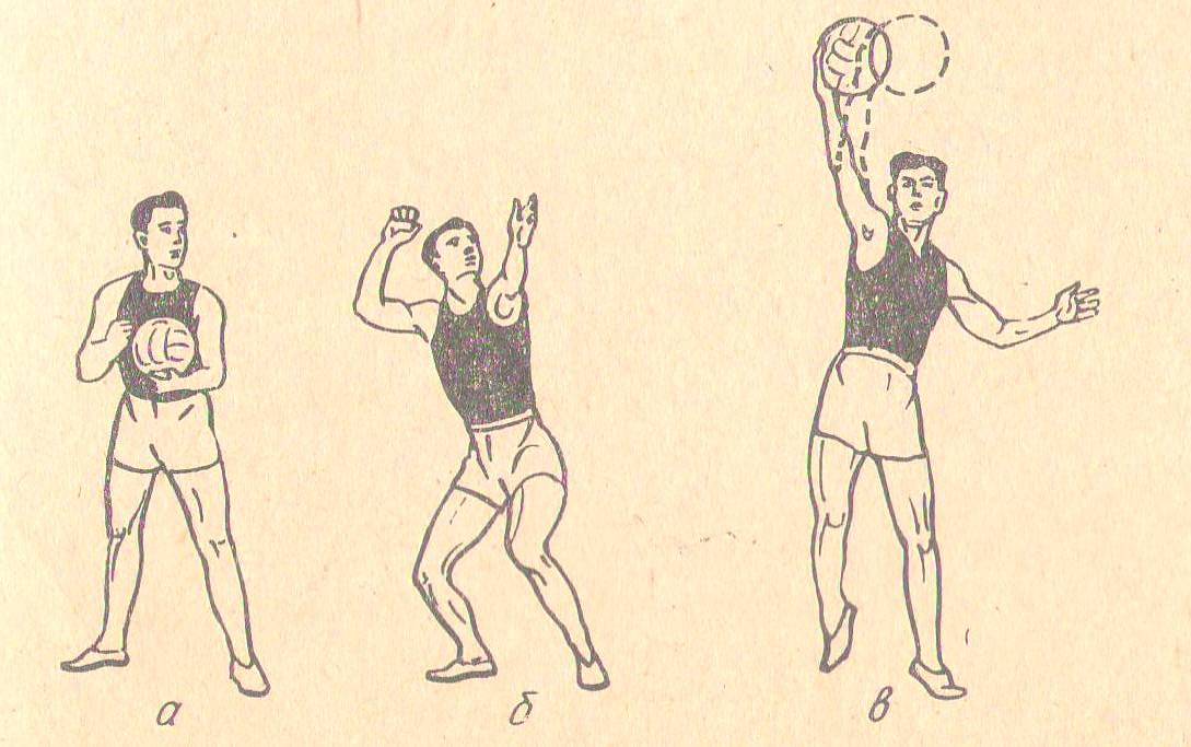 Разработка урока физкультуры Волейбол