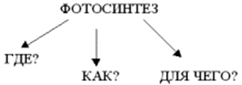 Конспект по биологии на тему Фотосинтез (9 класс)