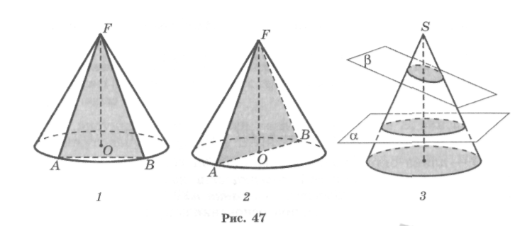 Конус. Сечения конуса. Развертка конуса. Площадь поверхности конуса.