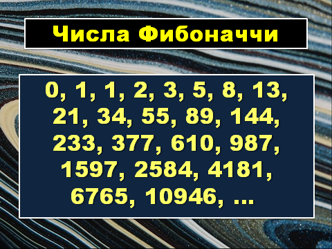 Исследовательская работа по теме : Числа Фибоначчи