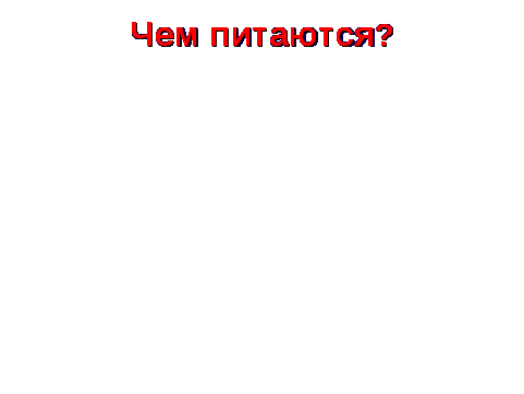 Конспект урока по окружающему миру во 2 классе УМК Школа России на тему Дикие и домашние животные с презентацией