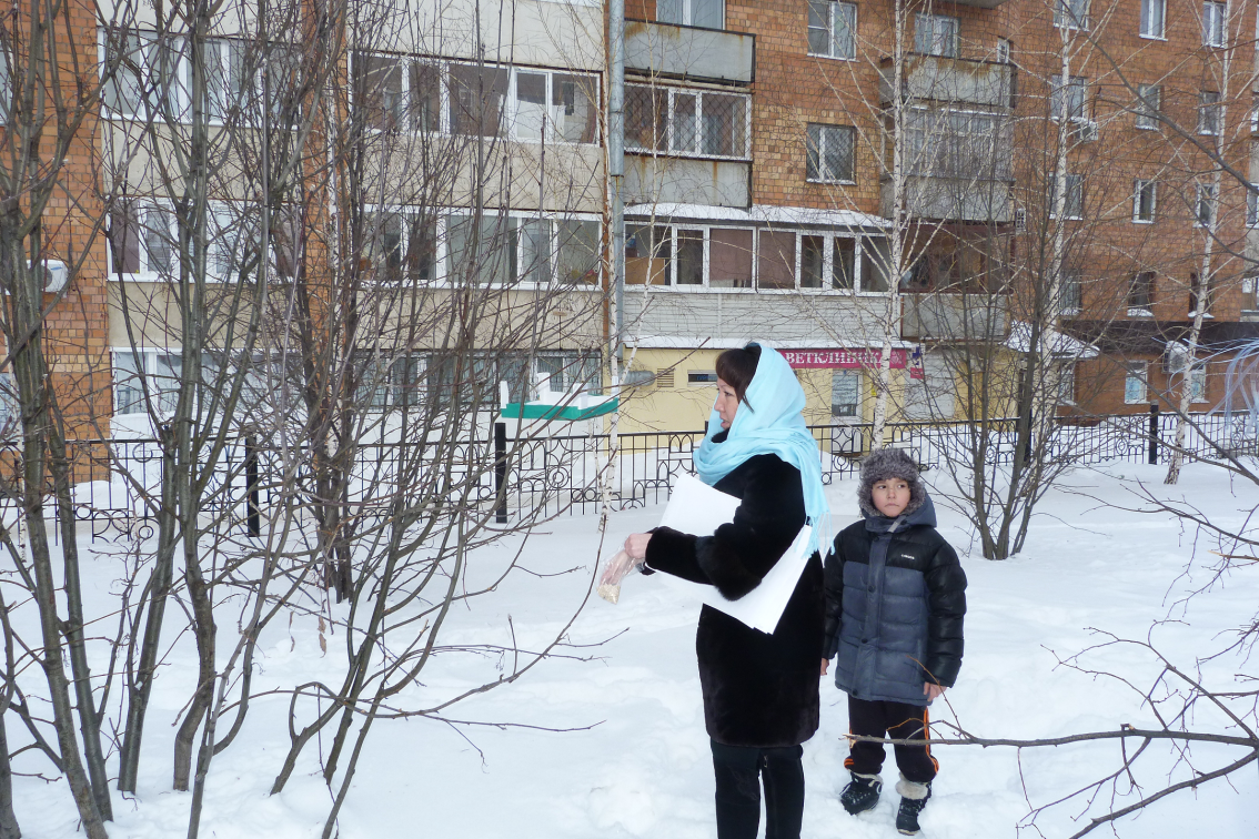 Урок по окружающему миру Помогите птицам