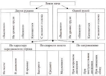 Рзработка урока по теме: Баскетбол.