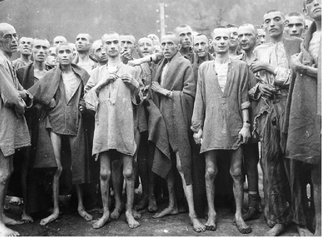 Исследовательская работа «Память о Холокосте - путь к толерантности»