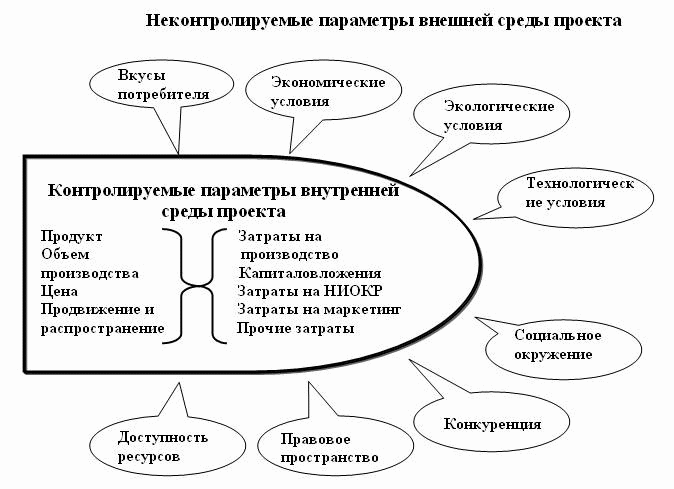 Курсовая работа на тему Разработка целей и стратегии проекта