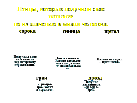 Исследовательская работа по темеПтицы Волгоградской области