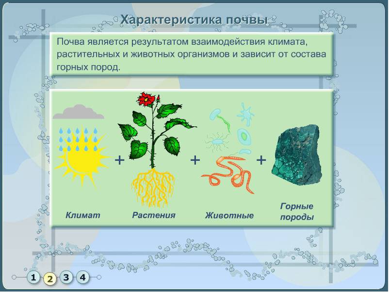 Занятие в детском экологическом объединении Почвы Беларуси: состав и свойства почвы.