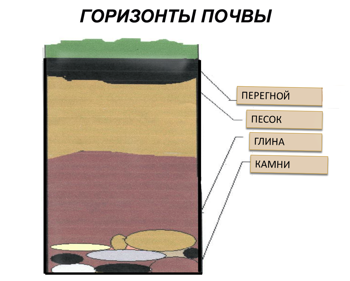 Рисунок на тему почва