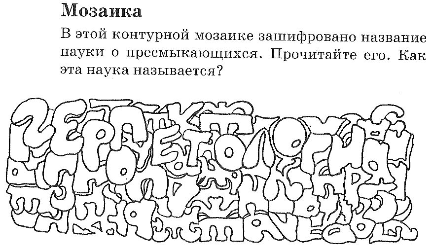 Сценарий биологической конкурсной игры: «Тайное царство рептилий» (для обучающихся 7-х классов)