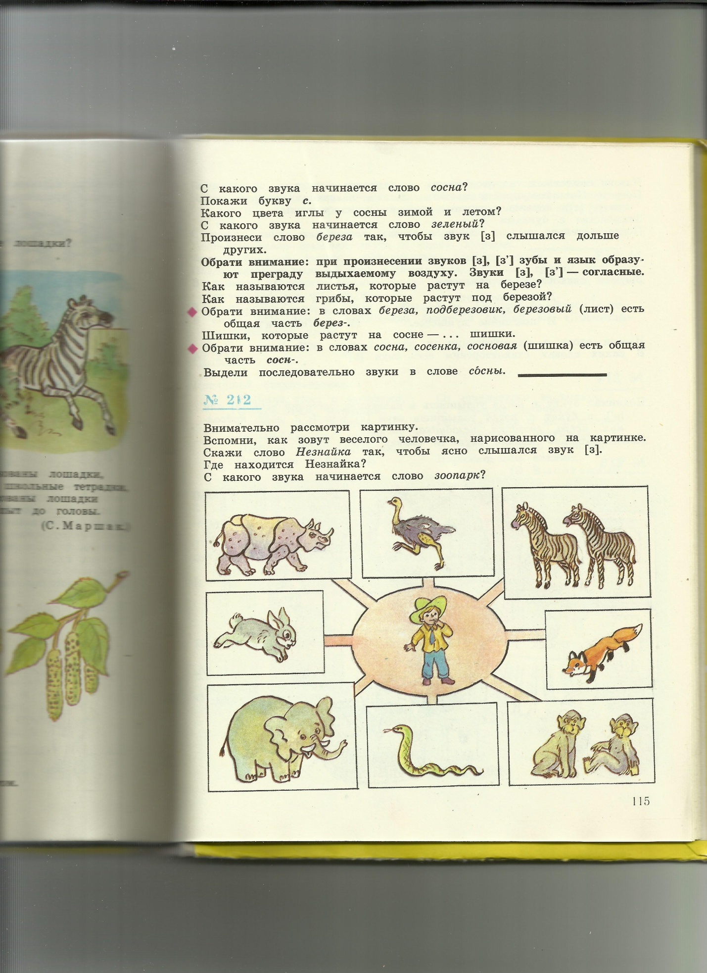 Рабочая тетрадь по курсу Мир животных 8 класс для коррекционной школы 8 вида спецкласс