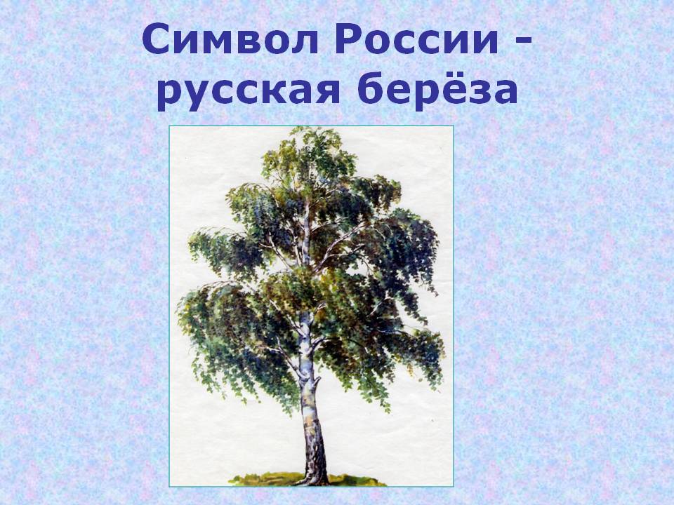 Классный час по теме: «Я горжусь своей Россией!»