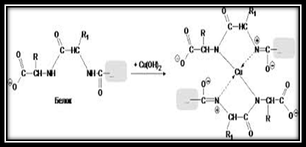 Напишите схему биуретовой реакции