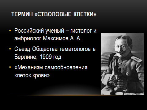 Александру александровичу максимову. История открытия стволовых клеток. История открытия стволовых клеток кратко.