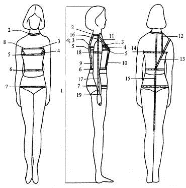 Методическая разработка на тему: Исходные данные для построения чертежа конструкции плечевого изделия с втачными рукавами на индивидуальную фигуру без значительных отклонений от типового телосложения