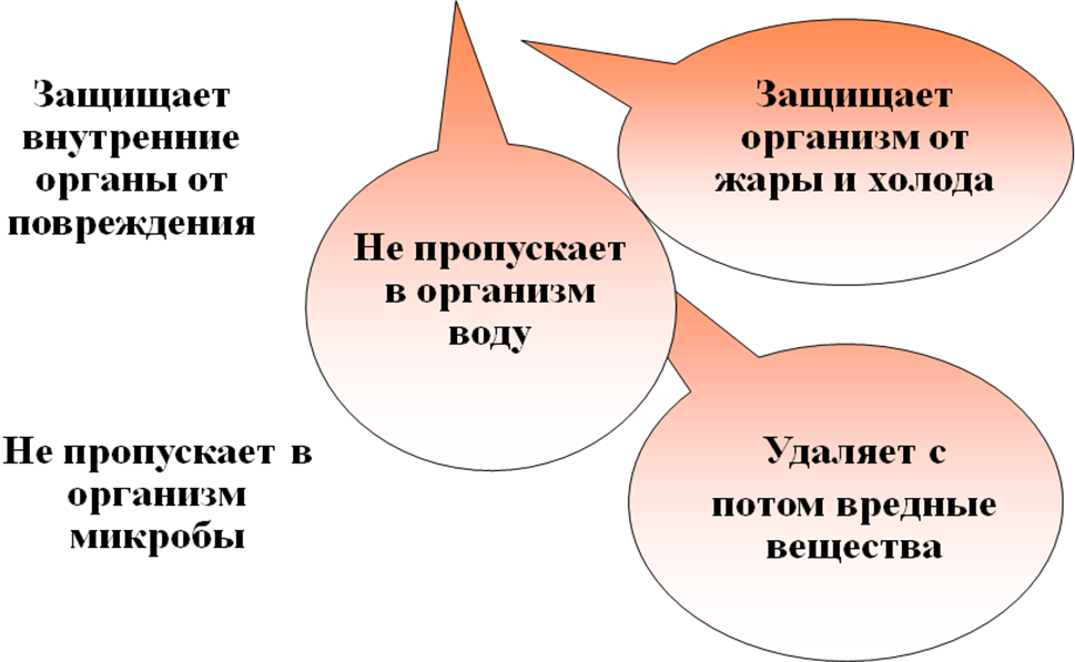 Конспект мастер-класса по теме Использование ИКТ на уроках