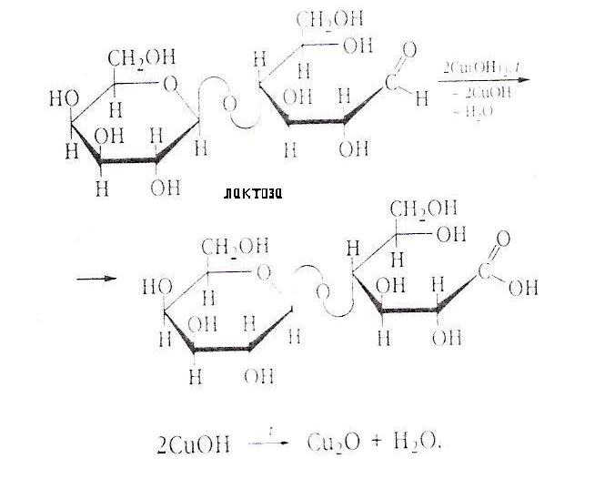 Глюкоза cuoh2. Лактобионовая кислота из лактозы. Реакция лактозы с гидроксидом меди. Лактоза и гидроксид меди. Мальтоза и гидроксид меди 2.