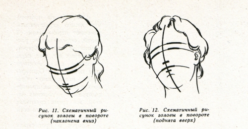Технологическая карта урока по изобразительному искусству на тему Конструкция головы человека и ее пропорции (6 класс).