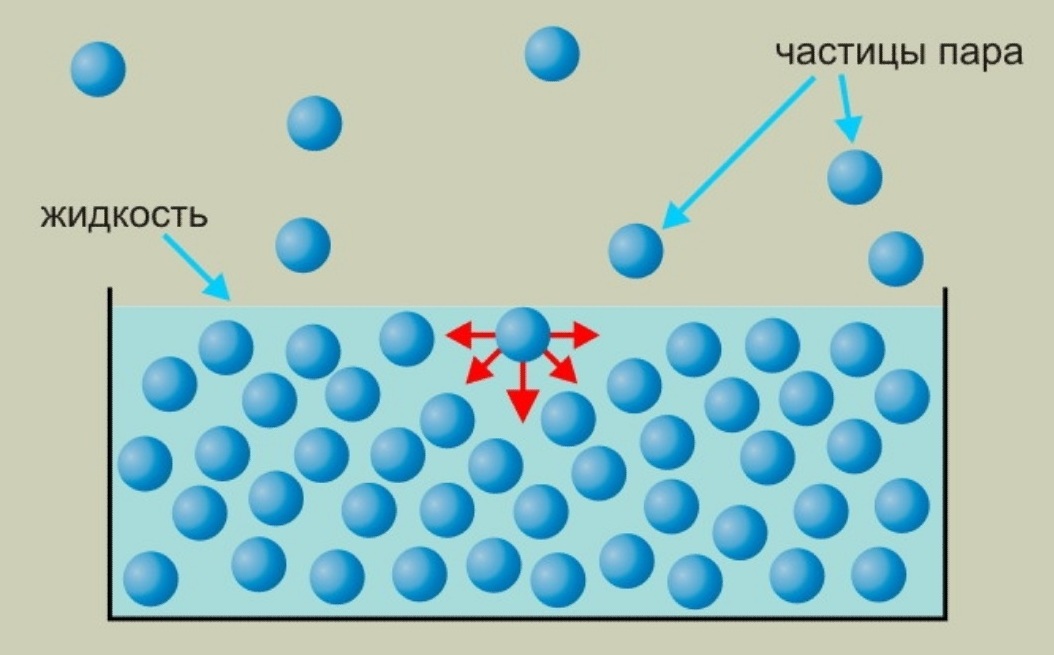 Методическая разработка урока по физике Свойства жидкостей. Поверхностное натяжение