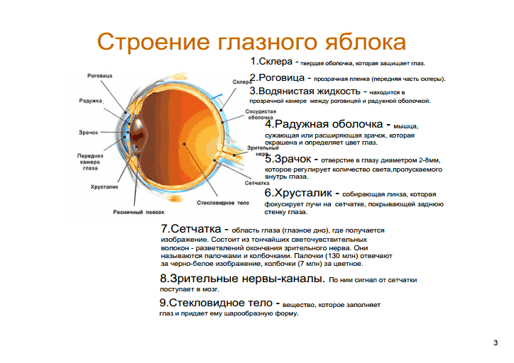 Задания к уроку Колебания и волны