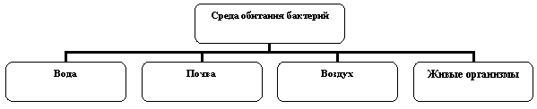 Методическая разработка раздела учебной программы по биологии « Царство Прокариоты» (7 класс)