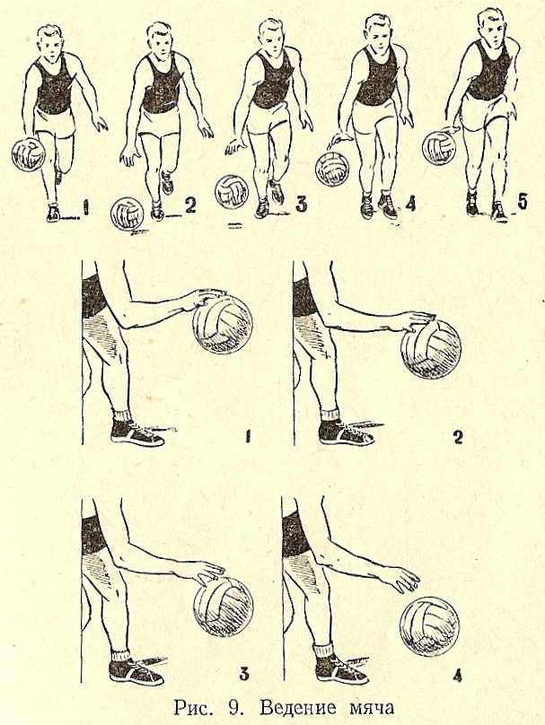 Ведение в баскетболе упражнения. Техники ведения мяча в баскетболе. Техника ведения мяча в баскетболе схемы. Баскетбол введние мяч техника. Низкое ведение мяча в баскетболе техника выполнения.