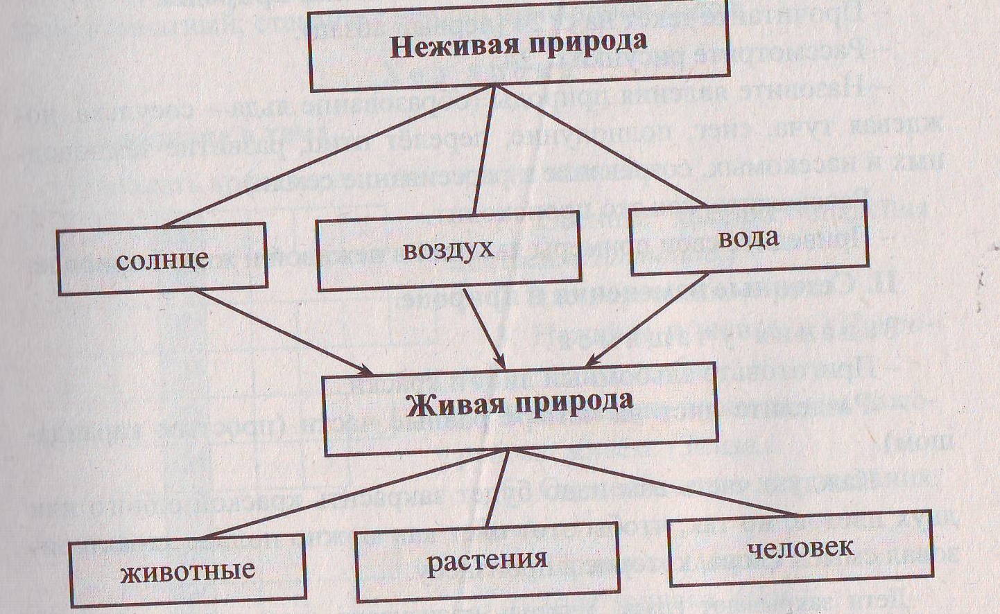 Природа схема. Схема связи между живой и неживой природой 2 класс окружающий мир. Схема связи живой и неживой природы 2 класс. Взаимосвязь живой и неживой природы 2 класс окружающий мир. Связь между объектами живой и неживой природы 2 класс.