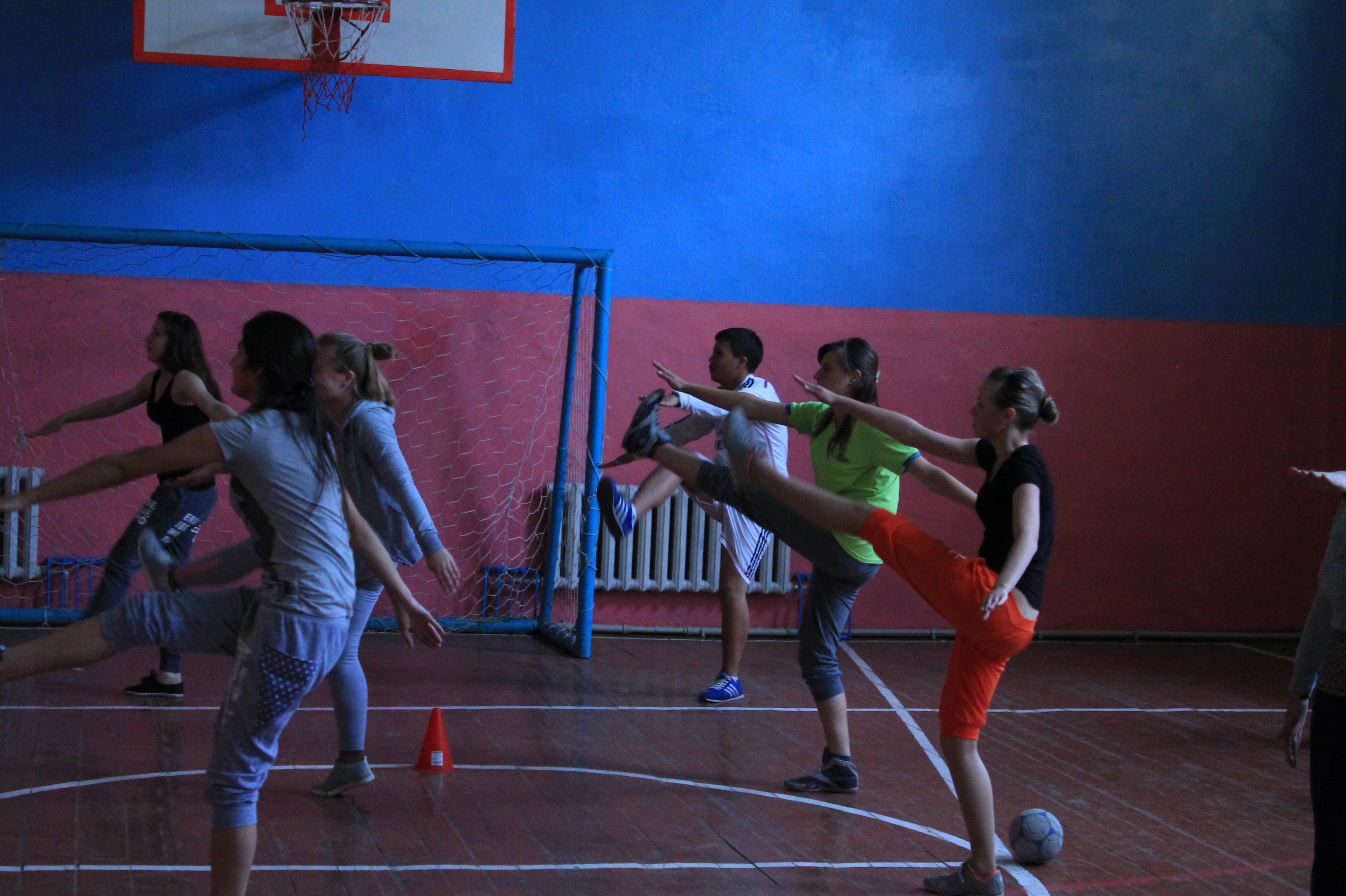 Открытый урок по физической культуре Правильное держание мяча, ловля и передача мяча на месте и в движении раздел гандбола.