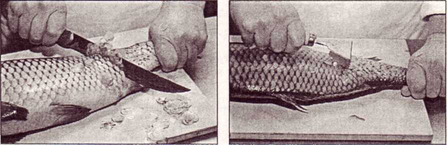 Инструкционная карта Обработка рыбы