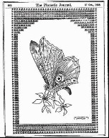 Исследовательский проект по информатике и ИКТ на тему: «Текстовой рисунок, ASCII - это искусство будущего или искусство прошлого»