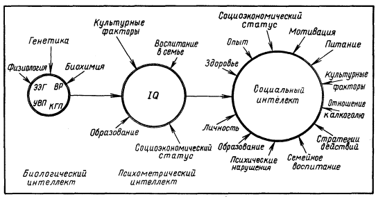 Проведение теста на измерение интеллекта по методике КОТ,ПСО (10-11 класс)