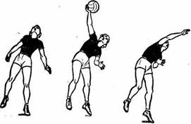 Верхняя и нижняя передачи в волейболе 5-11 классы