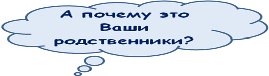 Конспект урока по русскому языку Правописание букв О-Ё после щипящих и Ц (5 класс)