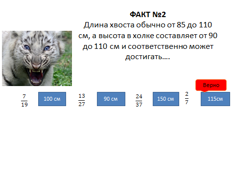 Открытый урок по математике 5 класс на тему Умножение смешанных чисел