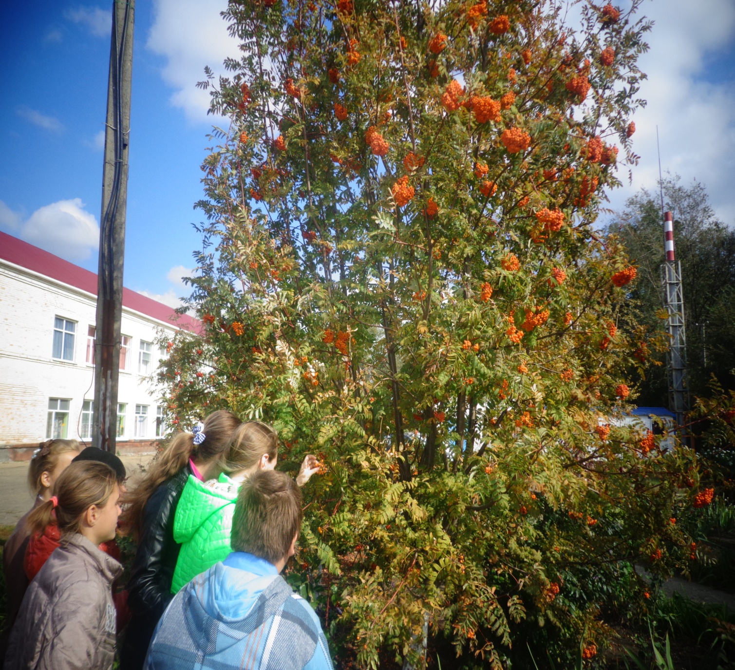 Фотоотчёт по теме: Неделя экологии.