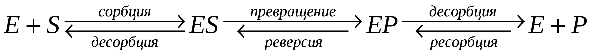 ПОМОЩЬ СТУДЕНТАМ ПРИ ИЗУЧЕНИИ ФУНДАМЕНТАЛЬНЫХ ОСНОВ КИНЕТИКИ И ТЕРМОДИНАМИКИ ЖИВЫХ СИСТЕМ