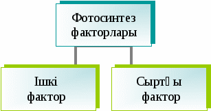 Фотосинтез. Сабақ жоспары (9 сынып)