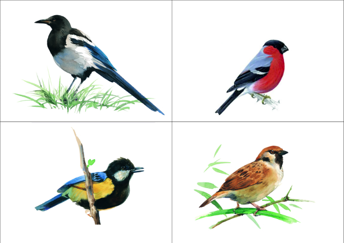 Презентация урока по ознакомлению с окружающим миром на тему Зимующие птицы (3 класс)