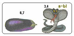 Урок по биологии на тему Тип Моллюски. Внешнее и внутреннее строение.