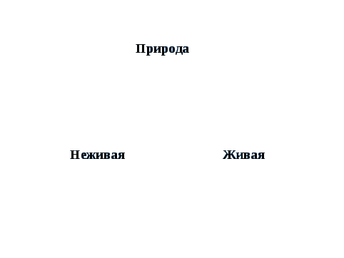 Урок окружающего мира на тему В гости к зиме (2 класс)