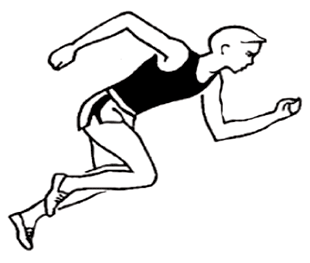 Методичка: Развитие быстроты у волейболистов – методы и средства тренировки, примерные упражнения