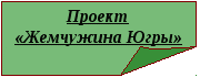 Творческий проект по технологии Жемчужина Югры