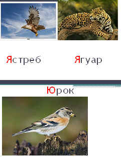 Открытый урок по русскому языку в 1 классе на тему:Загадки звука [ й`] и букв е, ё, ю, я.”