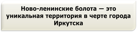 Конспект урока по географии по теме Внутренние воды России